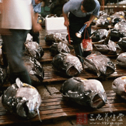 煙臺檢驗檢疫局扶持轄區(qū)遠洋自捕水產(chǎn)品產(chǎn)業(yè)