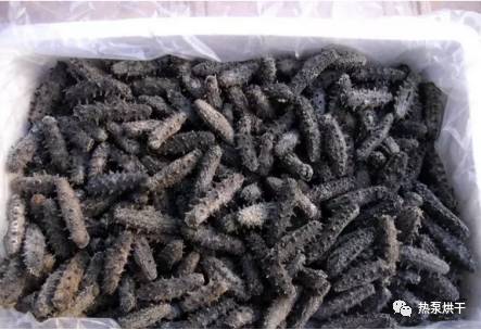 海鮮 水產(chǎn)品 烘干比速凍更有 錢(qián) 景