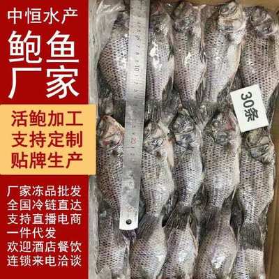 尼羅羅非魚(yú)產(chǎn)地在哪?尼羅羅非魚(yú)和羅非魚(yú)有什么區(qū)別?