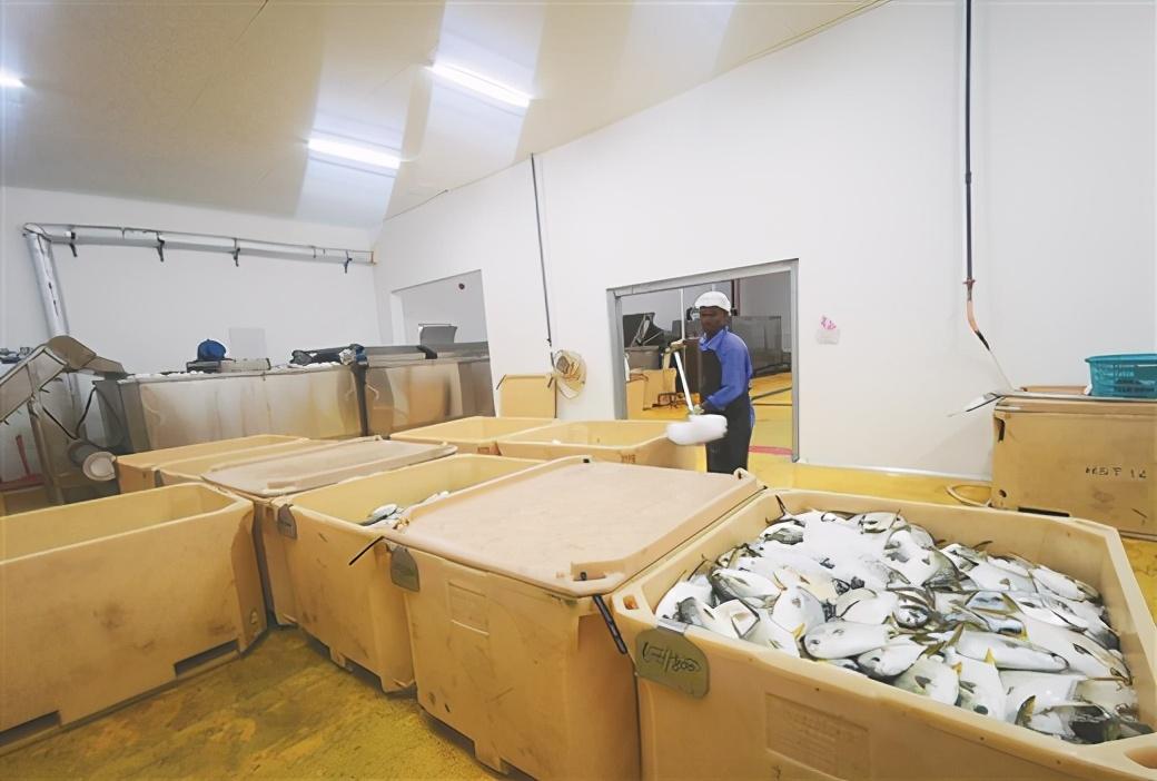 廣西海世通文萊漁業(yè)基地冷凍加工廠.