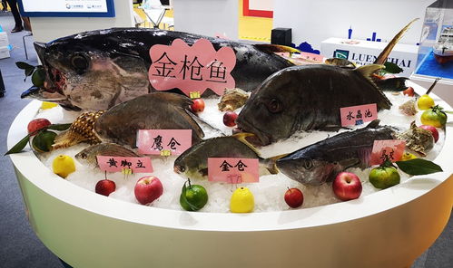 快訊 第六屆中國(guó) 廣州 國(guó)際漁業(yè)博覽會(huì)開(kāi)幕
